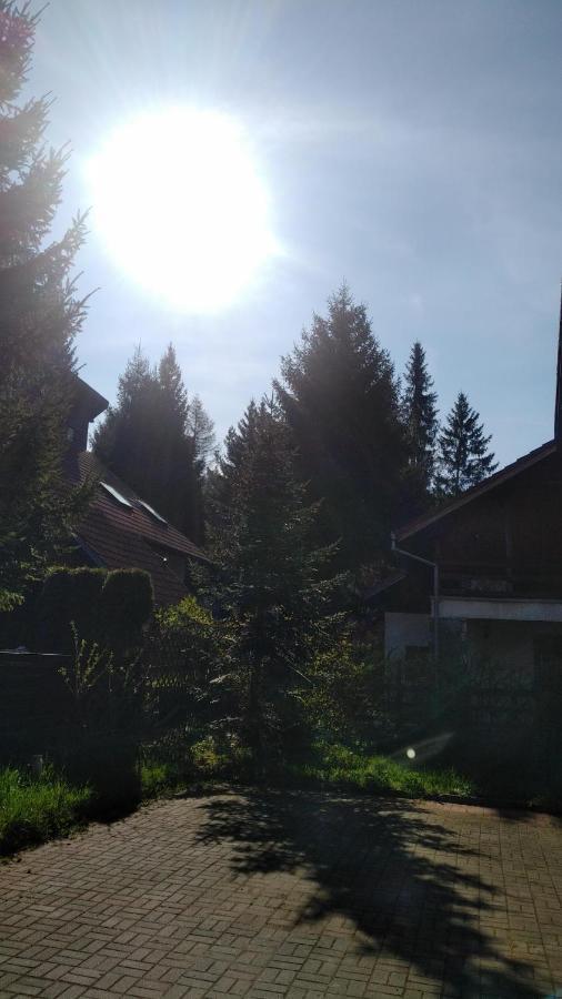Poiana Dintre Brazi Chalet, Bucegi Panorama Case de vacanță *