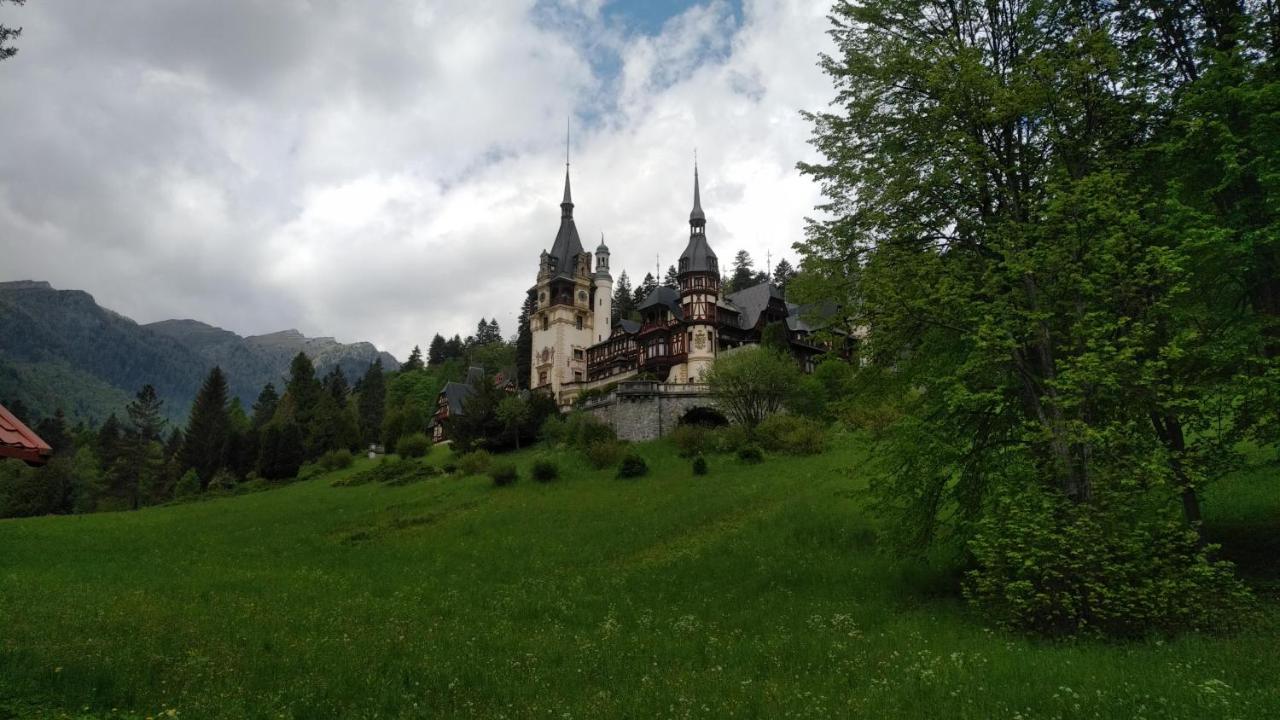 Case de vacanță Poiana Dintre Brazi Chalet, Bucegi Panorama